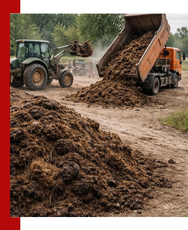 Доставка навоза самосвалами в Салавате для сельхозпотребностей
